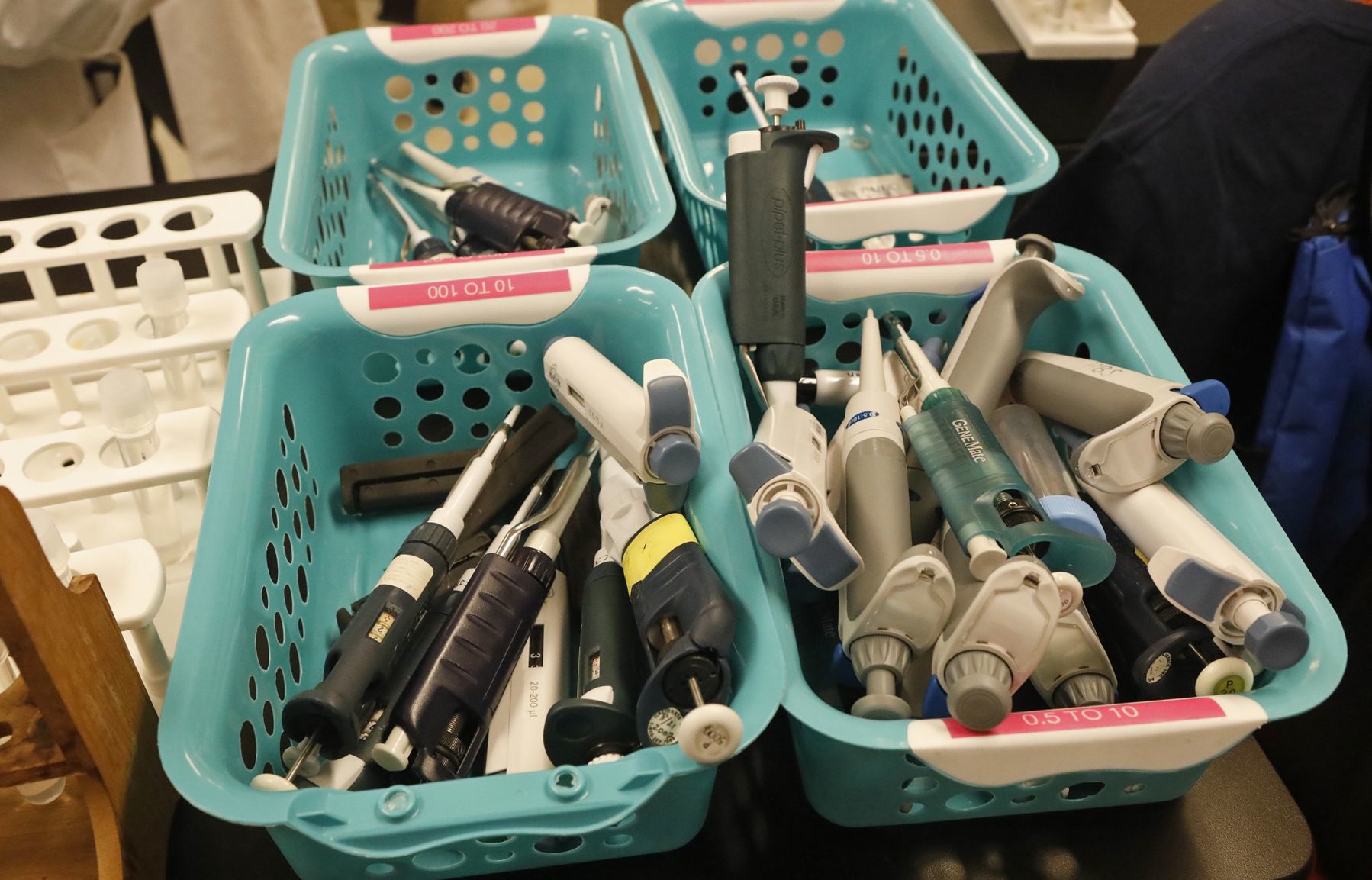 Collegiate students learn about their own DNA